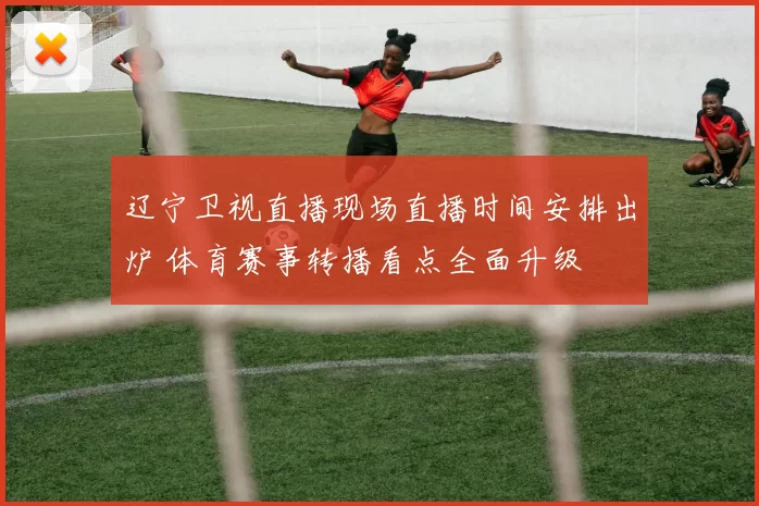 辽宁卫视直播现场直播时间安排出炉 体育赛事转播看点全面升级