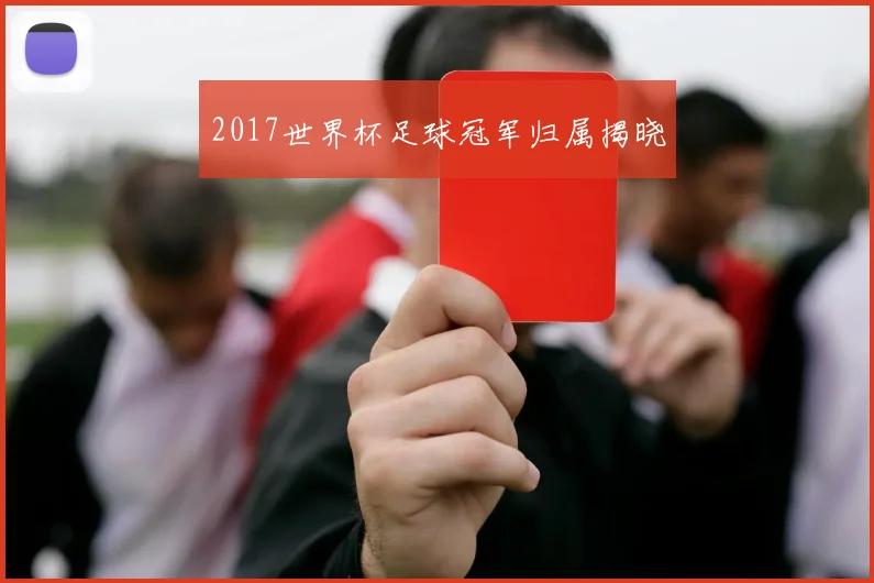 2017世界杯足球冠军归属揭晓