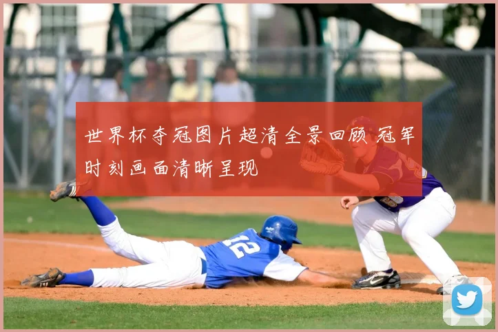 世界杯夺冠图片超清全景回顾 冠军时刻画面清晰呈现